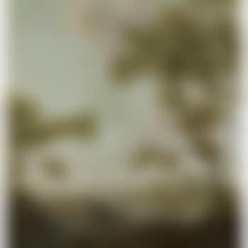 Extensive Mountainous River Landscape , (preview)