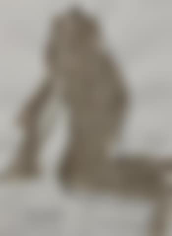 Seated nude ,
1989 (preview)