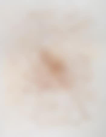 Ohne Titel ,
1968 (preview)