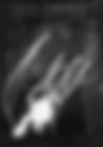 Ohne Titel ,
1998 (preview)