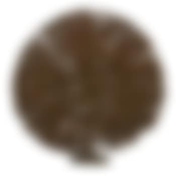 Untitled (Bush) , (preview)