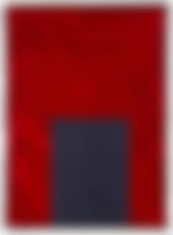 P. F (Pure Freude) ,
2001 (preview)