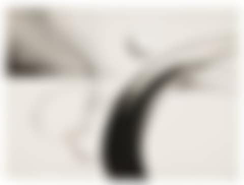 SERPENTINE (preview)