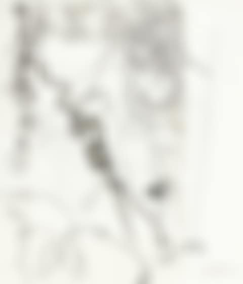 UNTITLED (preview)