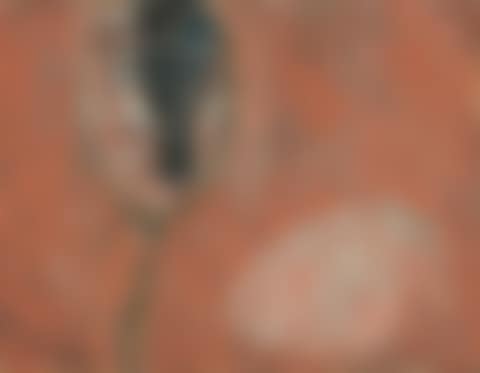 UNTITLED (preview)