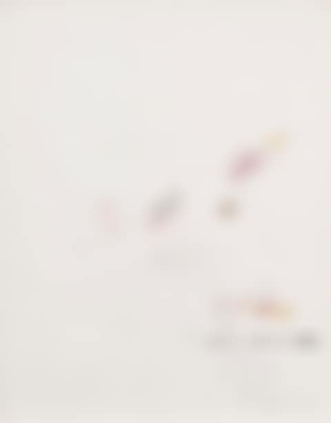 UNTITLED (preview)