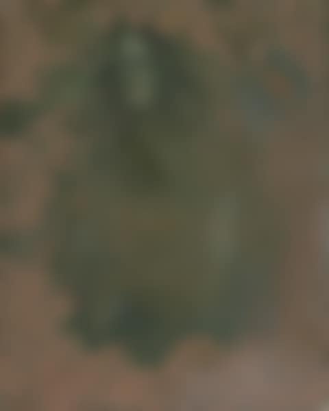 OXIDATION PAINTING NO. 11 (preview)