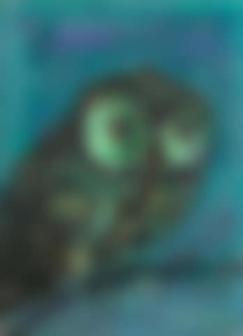 Owl (preview)