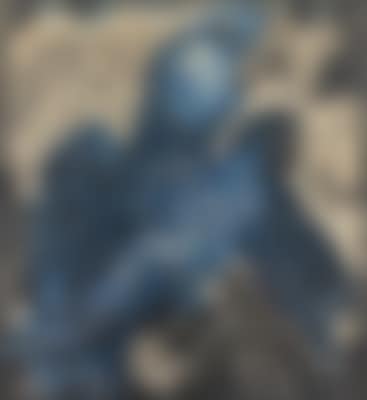 Two blue macaws (preview)
