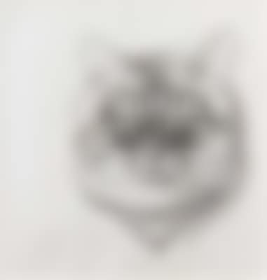 Portrait of a cat (preview)