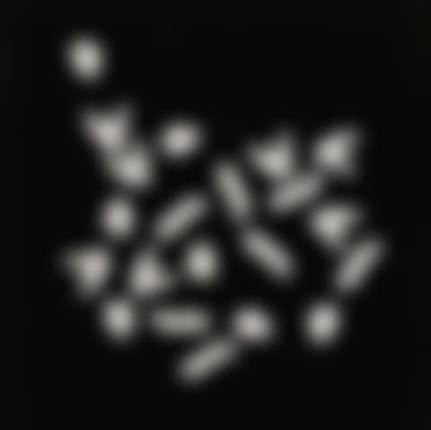 VARIABLES BILD (3 X 7 = 21 FORMEN) (preview)