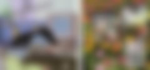 UNTITLED WALLCOVERING 4 & UNTITLED WALLCOVERING 6 (TWO WORKS) (preview)