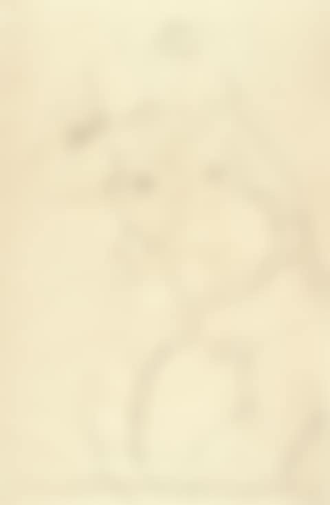 HALBAKT, DIE RECHTE HAND AUF DIE SCHULTER GELEGT (NUDE WITH RIGHT HAND ON SHOULDER) (preview)