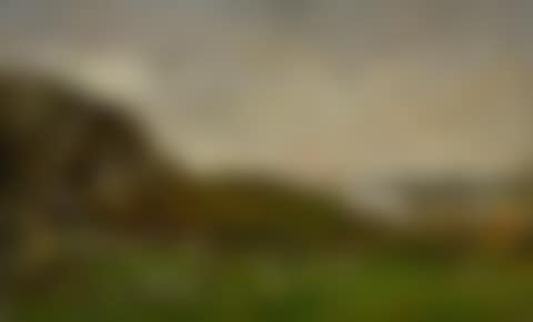 EMBOUCHURE DE L'ELORN AUX ENVIRONS DE BREST (preview)