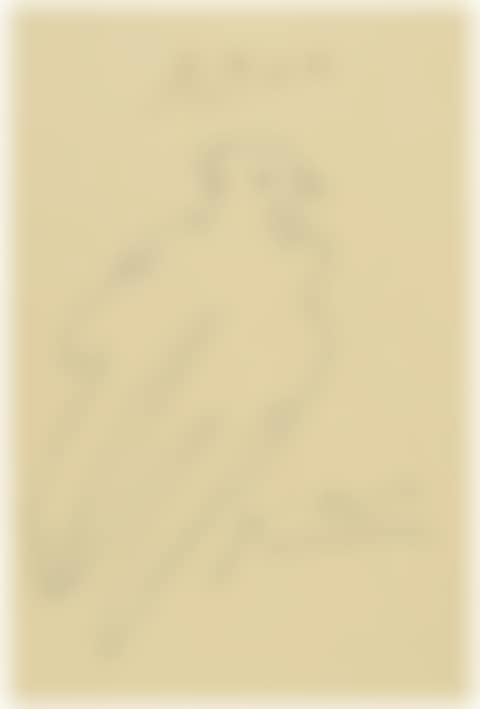 COLOMBE (preview)