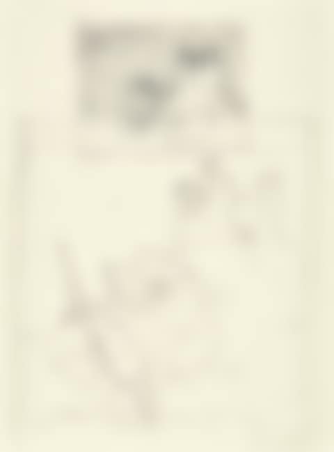 SANS TITRE (preview)