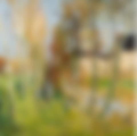 SUR LES BORDS DU RUISSEAU (preview)