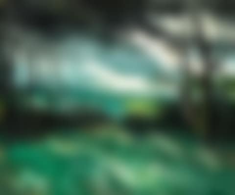 PAYSAGE AU CRÉPUSCULE (preview)