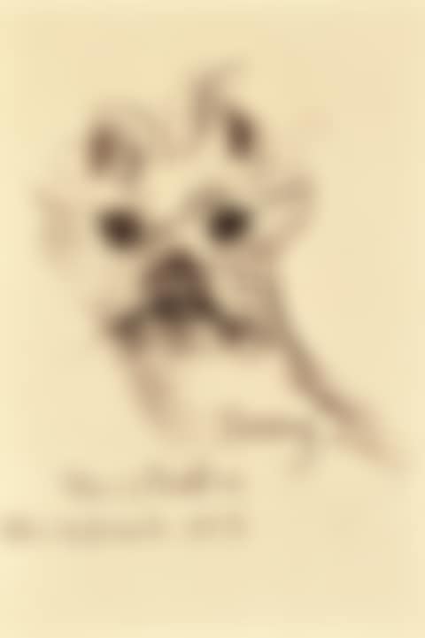 JIMMY (preview)