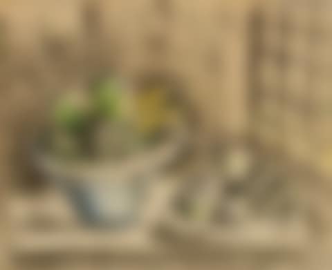 Nature morte à la fenêtre (preview)