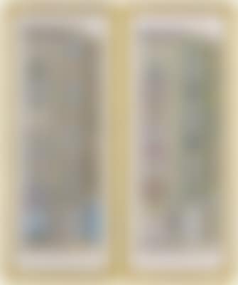 Designs from the Loggia di Raffaello in the Vatican Palace (preview)
