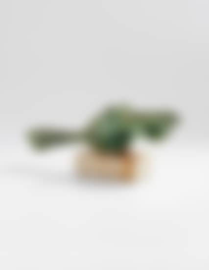 Bird (preview)