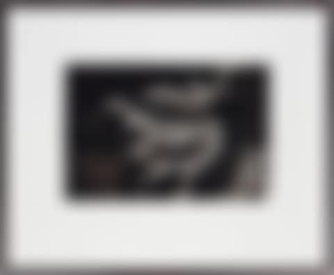 Study for Dragon (preview)