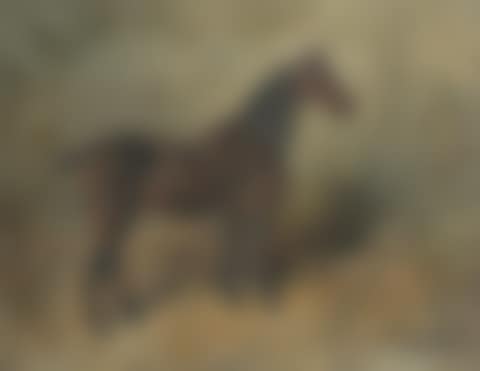 Study of a horse (preview)