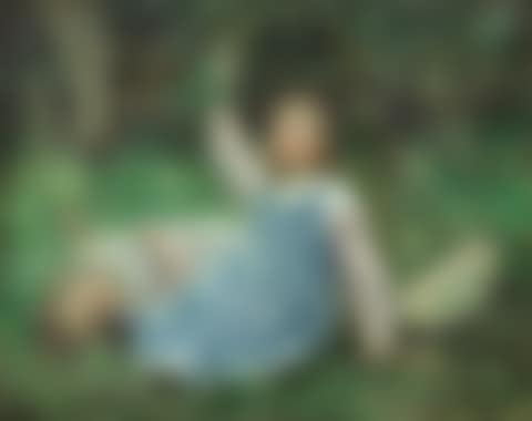 Summer afternoon apple picking (preview)