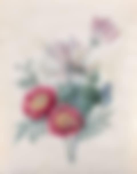 Honeysuckle and marigolds (preview)