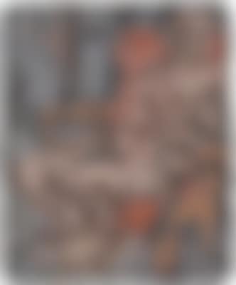 Fidelma (preview)