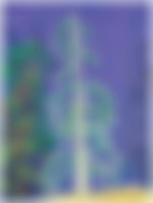 Untitled No. 14 from The Yosemite Suite (preview)