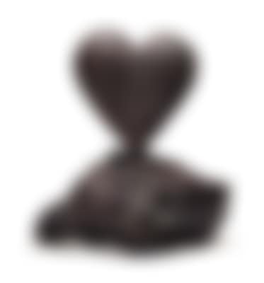 The Heart on a Rock (preview)