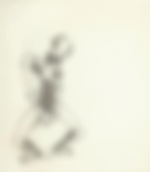 FREEDOM (preview)