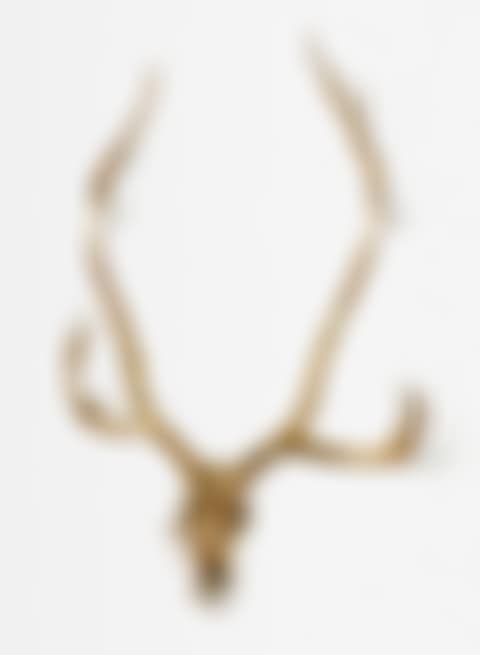 CARIBOU SKULL (preview)