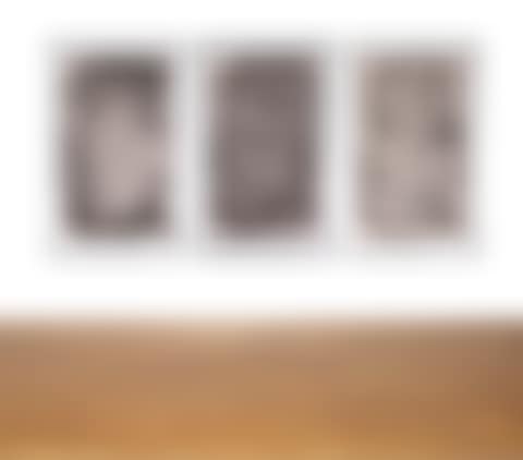 I. THREE WOMEN I II. THREE WOMEN II III. THREE WOMEN III (preview)