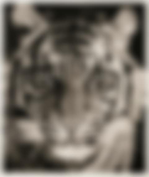 STUDY FOR WHITE TIGER (preview)