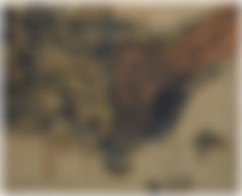 PEU I TERRA (preview)