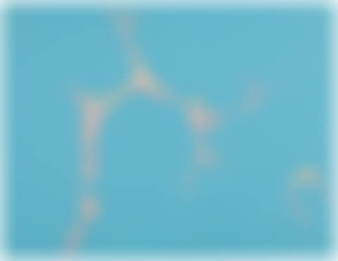 BLUE MILK (preview)