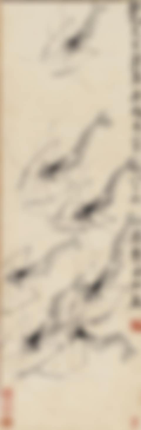 SEVEN SHRIMPS (preview)