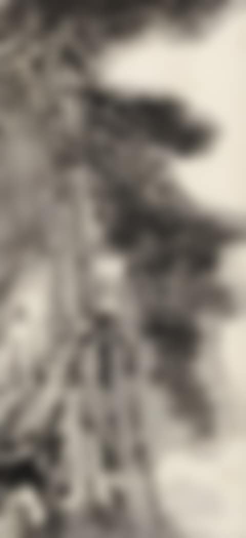 THE ARTIST ON A MOUNTAIN PATH (preview)