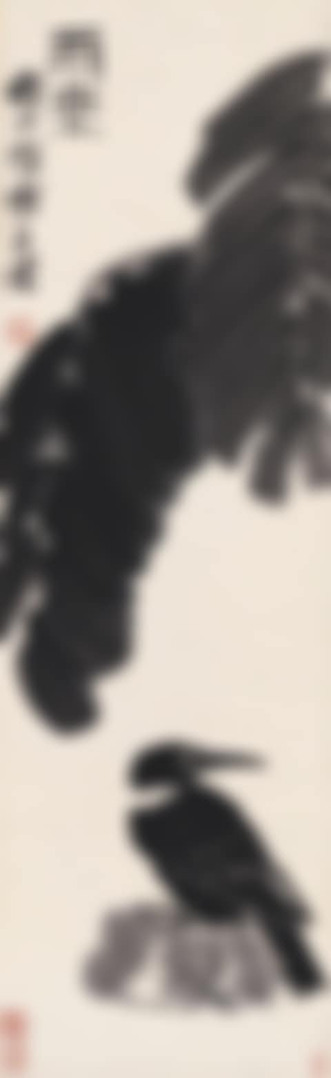 A MYNA UNDER BANANA LEAF (preview)