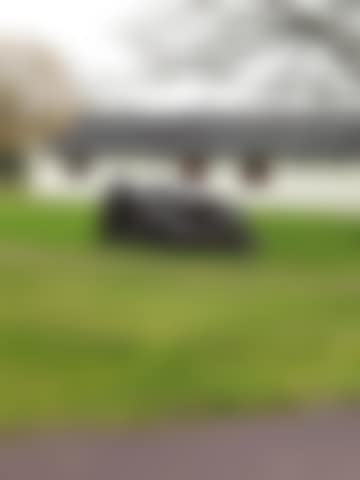 Reclining Woman (preview)