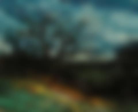 Les arbres dans la tourmente (preview)
