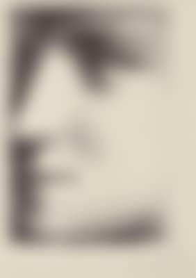 Visage de Marie-Thérèse (preview)
