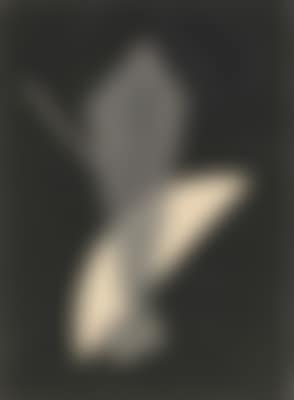 Konstrucktion V (preview)