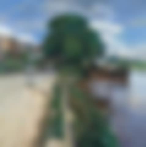 The Thames at Chiswick (preview)