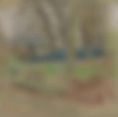 Paysage d'hiver aux Clayes (preview)