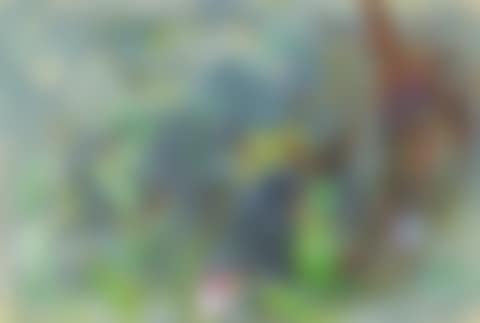 Twilight (preview)