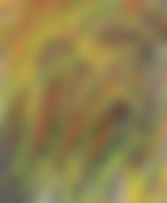 Ripple (preview)
